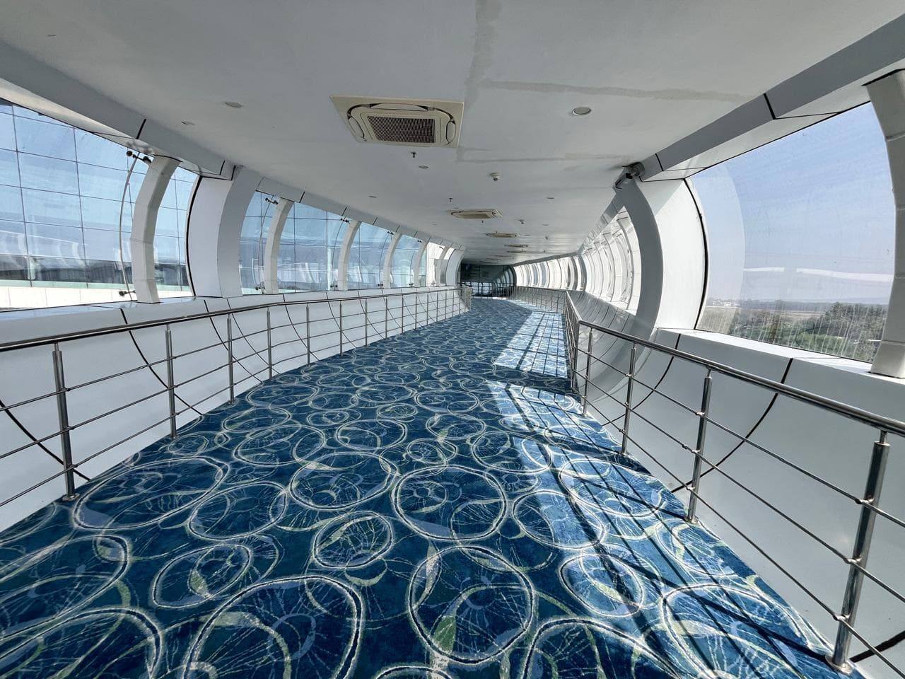 Premium Carpet Installation