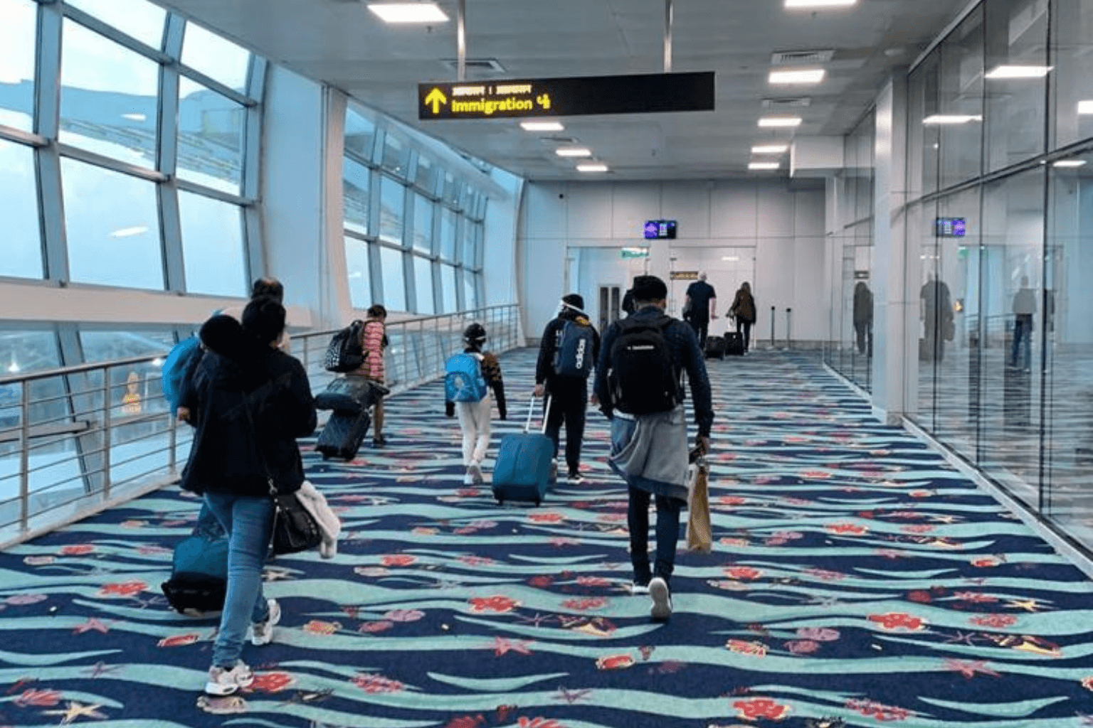 Premium Carpet Installation